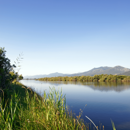 Etang de biguglia par beau temps